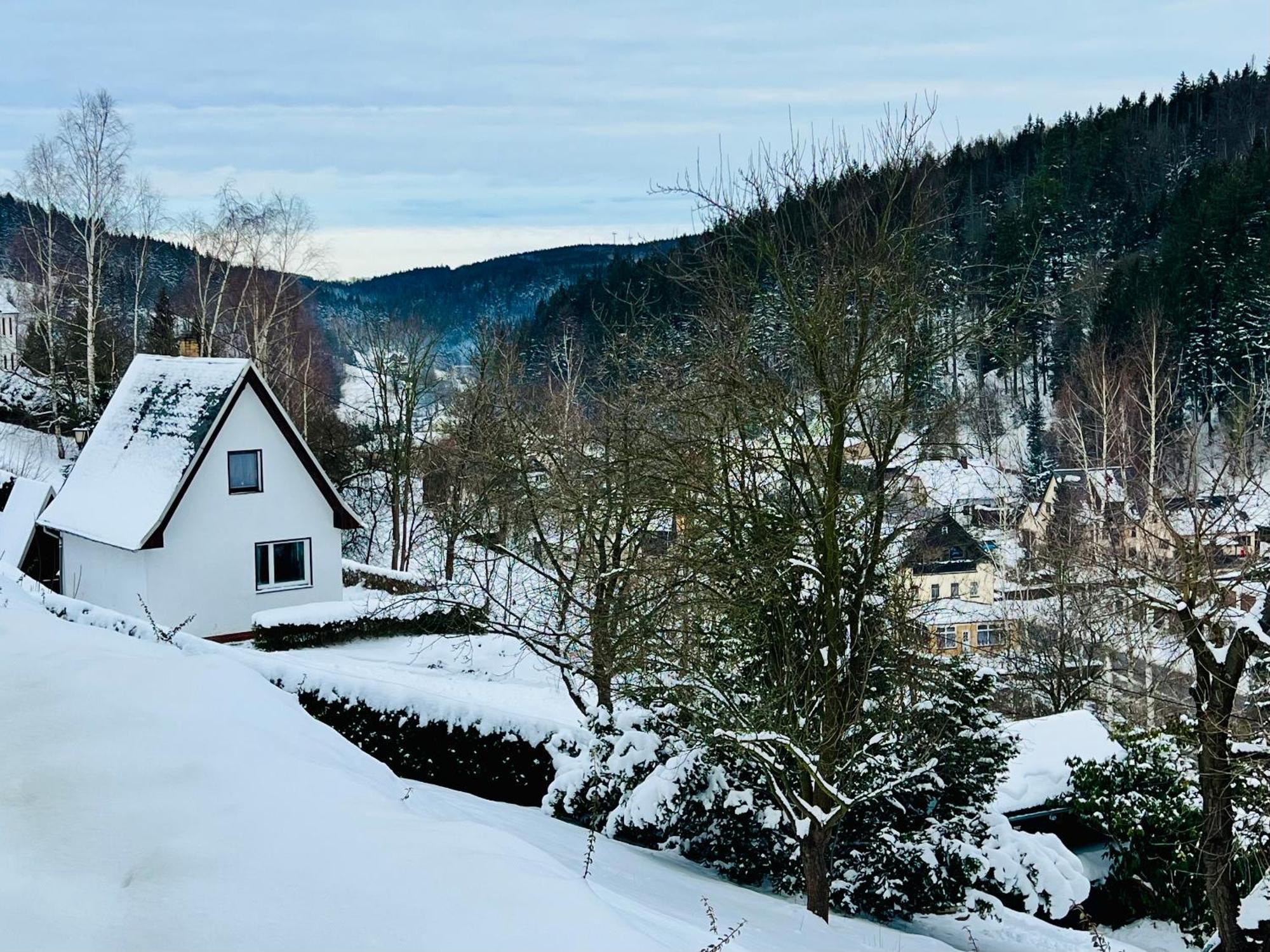 Urige Berghuette Mit Kamin Und Sauna Im Erzgebirge Nahe Schwarzwassertal Pobershau Exterior foto